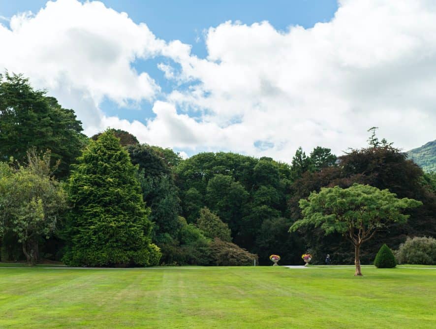 Why shouldn't we mow lawns in summer?