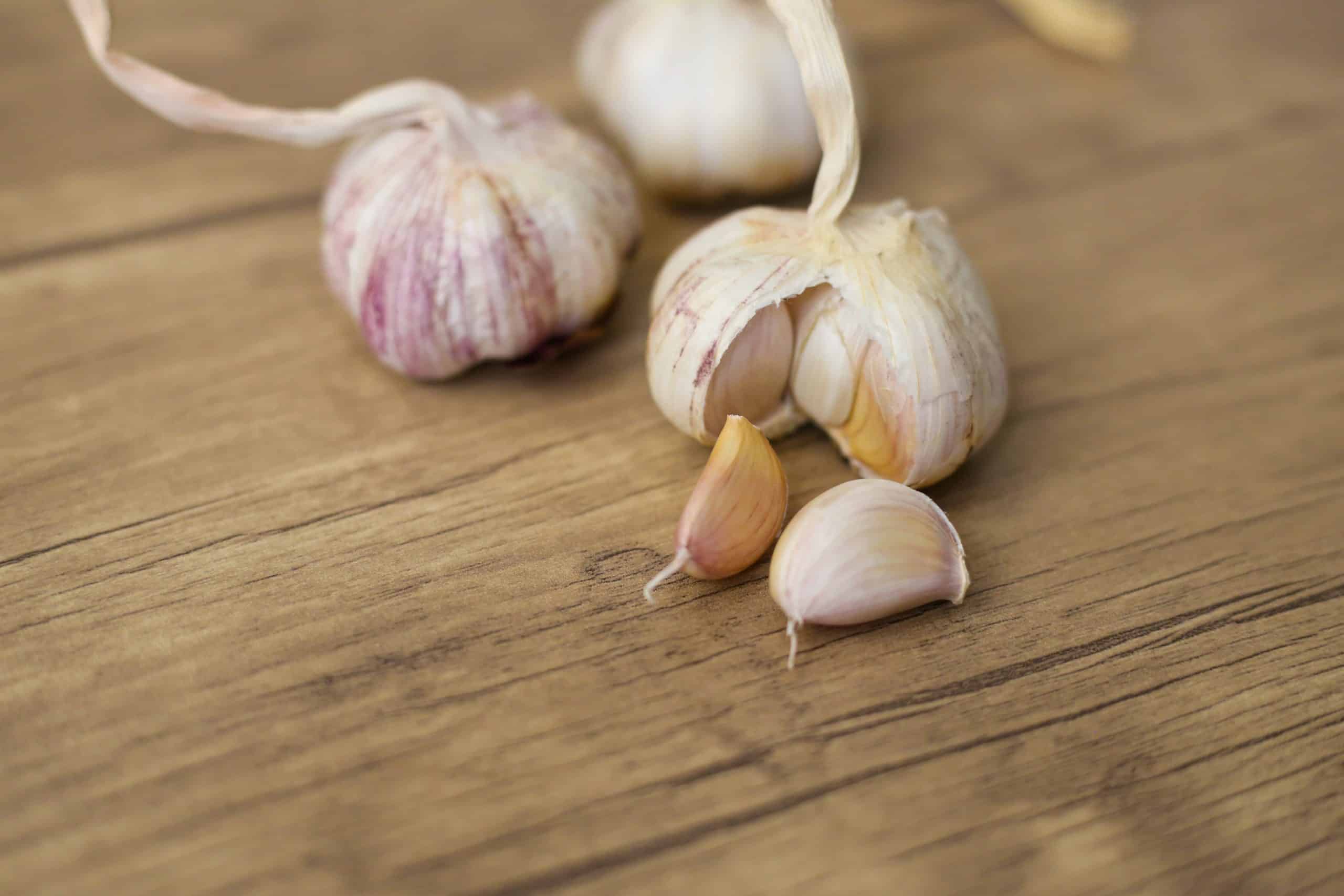 Spice up Your Cooking with a Garlic Herb Blend ﻿