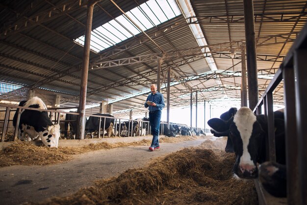 Maximizing Agricultural Efficiency with Custom Pole Barns
