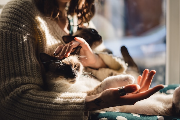 Creating a Harmonious Home Environment with Multiple Pets